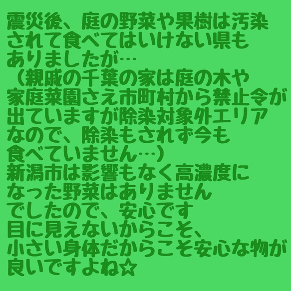 776.犬のおもちゃ犬用、かじり木、あまがみ対策、梨の木、超小型犬向き 5枚目の画像