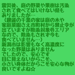 775.犬のおもちゃ犬用、かじり木、あまがみ対策、梨の木、超小型犬向き 5枚目の画像