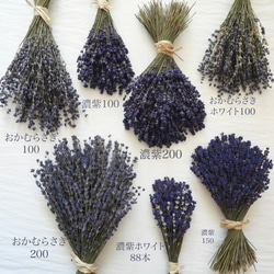 北海道富良野産・濃紫ラベンダー230本花束・ドライフラワースワッグNO23 8枚目の画像