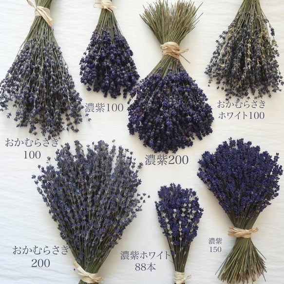 北海道富良野産・濃紫ラベンダー230本花束・ドライフラワースワッグNO23 8枚目の画像