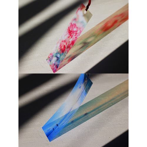 しおりん様　トレカ　10セット Amazon.co.jp: ZX ゼクス トレカアイテムくじ E賞 キャラクター