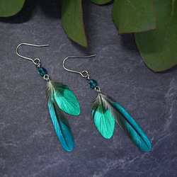 粘土の羽根飾り＿カワセミ緑＿ピアス/イヤリング＿R小 T中 ピアス