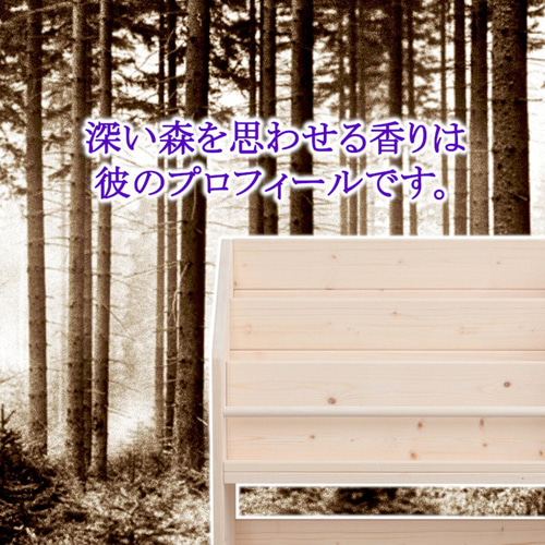 絵本棚 W91cmLX Maple poppo 大容量 収納 完成品 子ども 本棚