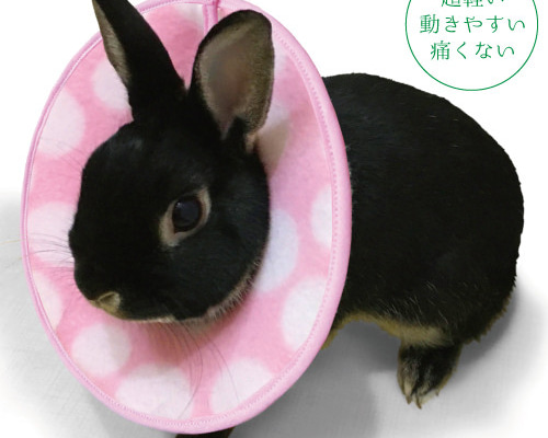 エリザベスカラー うさぎ用 （Sサイズ） 首周り（約）13～15cm 術後