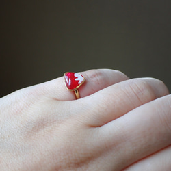 紅富士小指戒指 第5張的照片