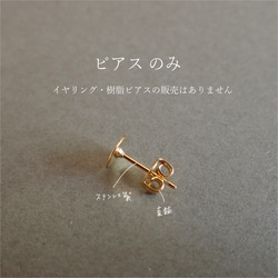 Hinode Fuji /僅限耳環 第2張的照片