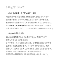 14kgfポストピアスorイヤリング◇小さいtradstyle〜キュービックジルコニア×パール〜<292> 6枚目の画像