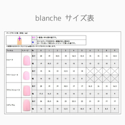 blanche★マグネット×ベージュネイルチップ 4枚目の画像