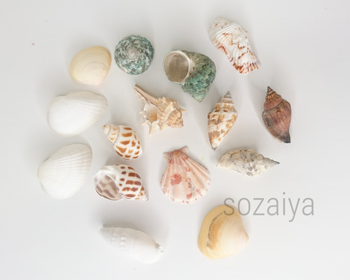 279650218434cac65ddeaef7fcbe3f