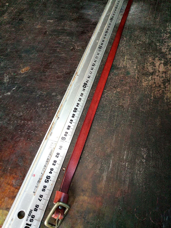  第4張的照片