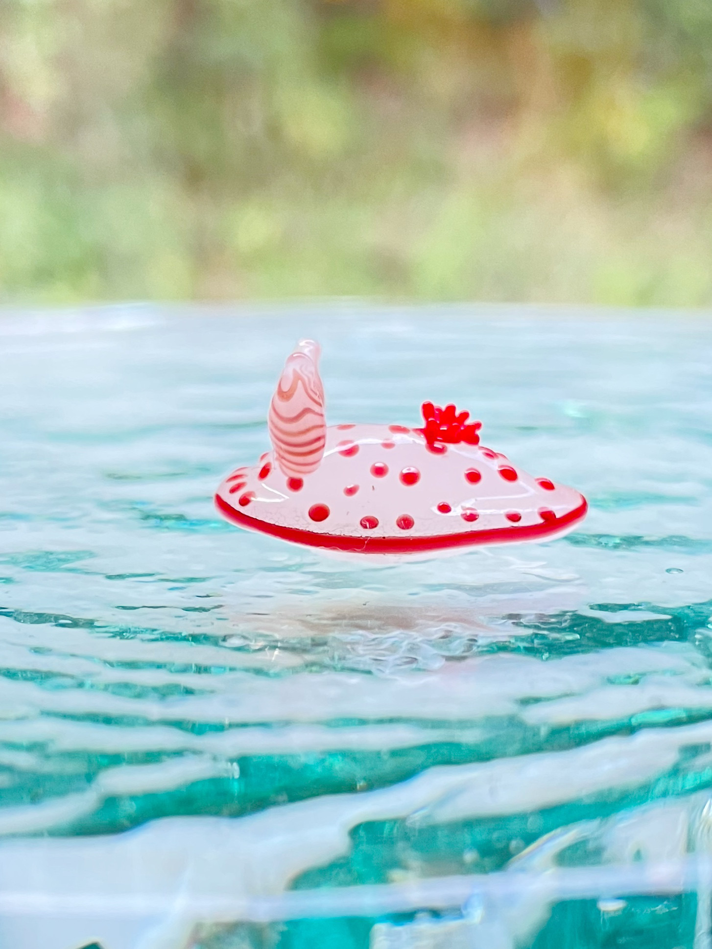 海のお月様 ウミウシのプリンセス インテリア アクアリウム 鮫 海のお