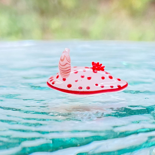 海のお月様 ウミウシのプリンセス インテリア アクアリウム 鮫 海のお月様 ウミウシのプリンセス インテリア アクアリウム 鮫
