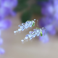 藤の花ピアス(うつろい)・アレキサンドライト/p744 2枚目の画像