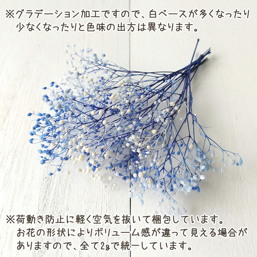 ソフトかすみ草 ブルーホワイト (プリザーブドフラワー ハーバリウム
