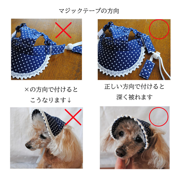 犬の帽子＊ミルクティー（白ゴム）＊Mサイズ＝4㎏前後の小型犬用 8枚目の画像