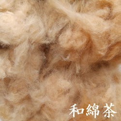 【繊維】和綿白・茶・しそ　約10g　無染色・自家自然栽培の綿（種採り済） 6枚目の画像