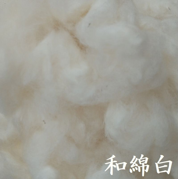 【繊維】和綿白・茶・しそ　約10g　無染色・自家自然栽培の綿（種採り済） 4枚目の画像