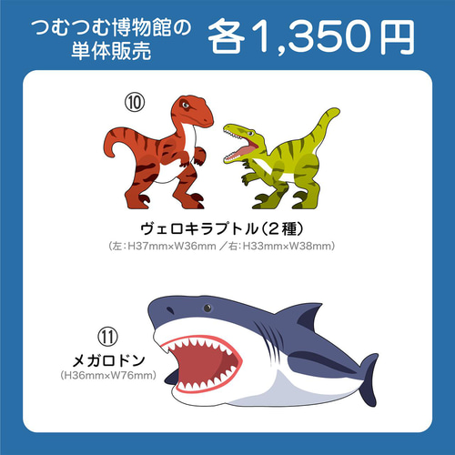 つむつむ博物館 単体販売 おもちゃ・人形 nine-D 通販 4153610