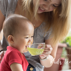こどもとたのしむ有機茶Kids TEA【家族みんなで飲める、苦みを極限まで減らした有機緑茶】 2枚目の画像