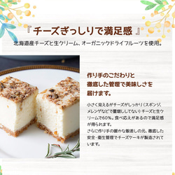 【ハロウィン】【期間限定】【秋】【ギフト】シナモンチャイ レアチーズケーキ（6個入） 8枚目の画像