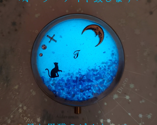 再販オーダーメイド。光る黒猫と三日月イニシャル入ピルケース☆レジン