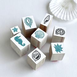 NEW貝殻のラバースタンプセット シェルはんこ ゴム印【ミニスタンプ