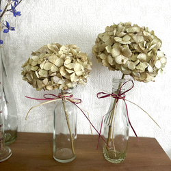 レモンユーカリリース レモンユーカリのリース | ドライフラワーインテリアのお店 Nā pua