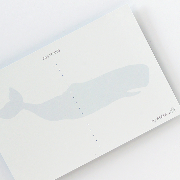 漂うクジラ｜ポストカード 5枚目の画像