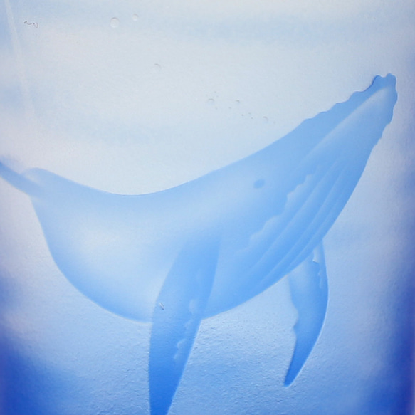 被せグラス くじらの海 （クリアー地にブルー）一口ビール・冷酒グラスに 3枚目の画像