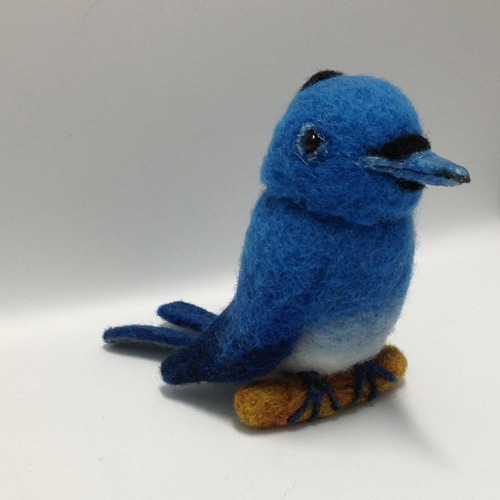 クロナペドブルーヒタキ 雄成鳥 羊毛フェルト その他置物 羊毛娃娃