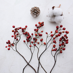 新入荷！野ばらの実 2024年収穫 その他素材 juneberry 通販 4268584