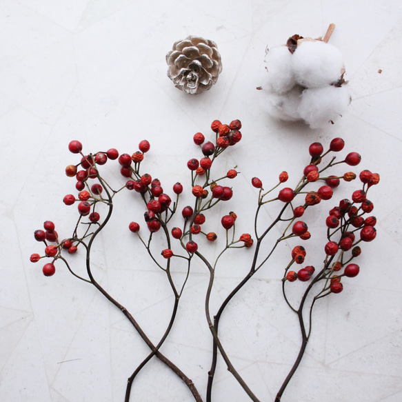 新入荷！野ばらの実 2024年収穫 その他素材 juneberry 通販 4268584