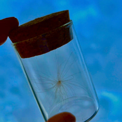 幸せを呼ぶ」 ケサランパサラン(大)1匹 （丸瓶）☆送料無料☆ その他