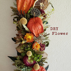 ホオズキのガーランド ドライフラワー はなさか兄さん 通販 4310593