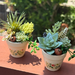 多肉植物寄せ植えセット のおすすめ人気通販 検索結果｜Creema