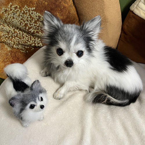猫 犬 羊毛フェルトブローチ オーダー受付 - メルカリ
