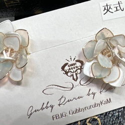 Forellis meek. 客訂小花(白） 第2張的照片