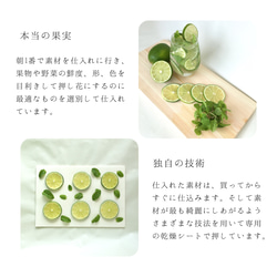 16i.Cocktail Mojito iPhone 手機殼 第5張的照片