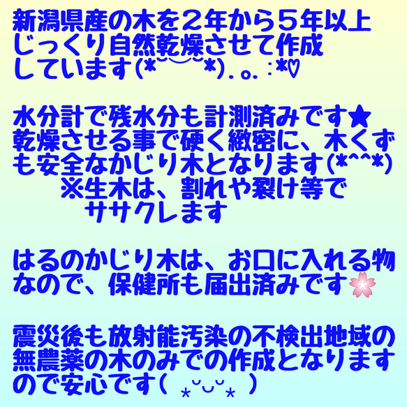 AM.けやき梨の木新品.犬用おもちゃ、小型犬向け歯固めかじり木 6枚目の画像