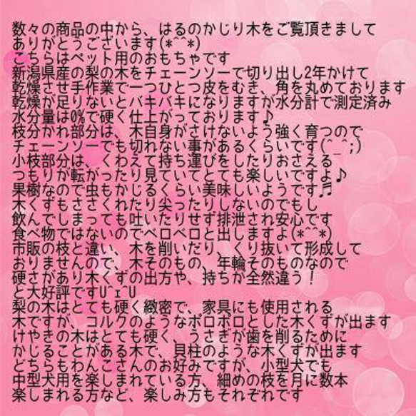 AM.けやき梨の木新品.犬用おもちゃ、小型犬向け歯固めかじり木 8枚目の画像