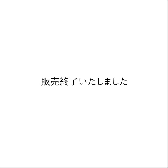 販売終了いたしました 1枚目の画像