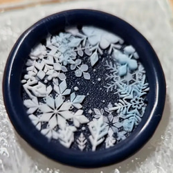 封印頭像雪花靜謐的雪花 第1張的照片