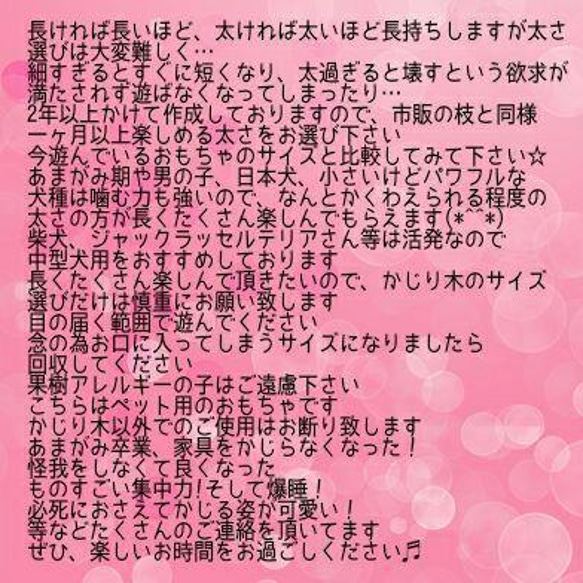 AK.けやき梨の木新品.犬用おもちゃ、小型犬向け歯固めかじり木 8枚目の画像