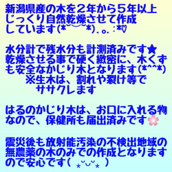 V.けやき梨の木新品.犬用おもちゃ、小型犬向け歯固めかじり木 5枚目の画像