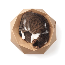 Diamond Bed 鑽石床紙製貓家具貓屋【內附抓板／猫の爪とぎがあります】 第4張的照片