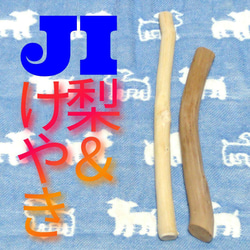 JI.けやき梨の木新品.犬用おもちゃ、超型犬向け歯固めかじり木 1枚目の画像