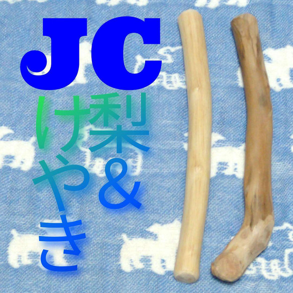 JC.けやき梨の木新品.犬用おもちゃ、超型犬向け歯固めかじり木 1枚目の画像