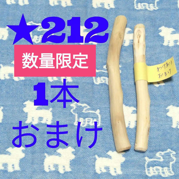 た.犬用おもちゃ、超小型犬国産枝おもちゃ、歯固め、かじり木梨の木セット♬