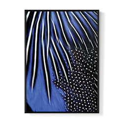 菠蘿選畫所 – 鮮明的交錯 30x40cm北歐/ 羽毛/ 攝影/ 複製畫/ 裝飾畫/ painting/ feather 第1張的照片