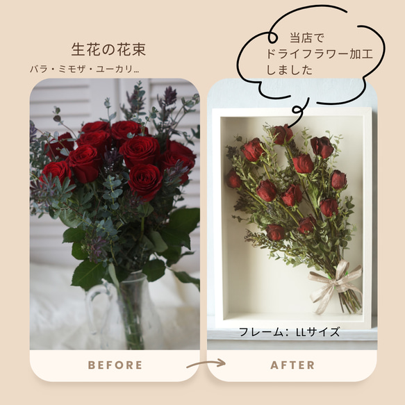  第3張的照片